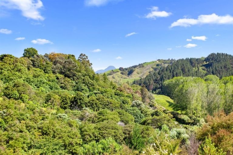 Photo of property in 4 Foxglove Drive, Maraetotara, Whakatane, 3120