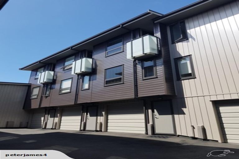 Photo of property in 46 Harold Street, Mount Eden, Auckland, 1024