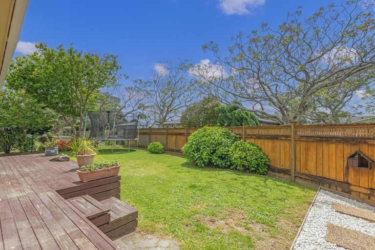 Photo of property in 24 Snowdon Avenue, Terrace End, Palmerston North, 4410