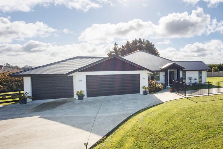 Photo of property in 28 Wapiti Avenue, Feilding, 4775