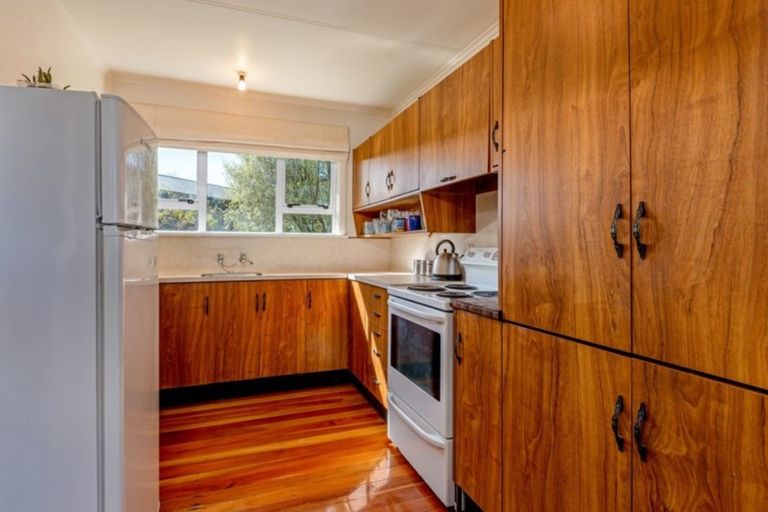 Photo of property in 63 Miro Street, Takaro, Palmerston North, 4410