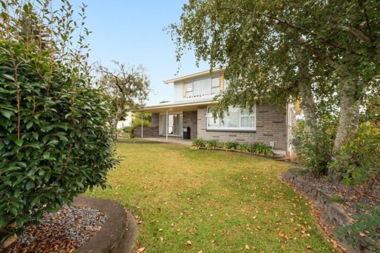 Photo of property in 123 Bellevue Road, Brookfield, Tauranga, 3110