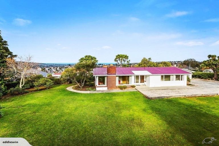 Photo of property in 62 Mayfield Avenue, Wakari, Dunedin, 9010