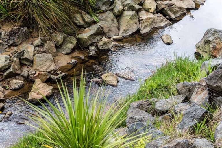 Photo of property in 2/45 Flaxdale Street, Birkdale, Auckland, 0626