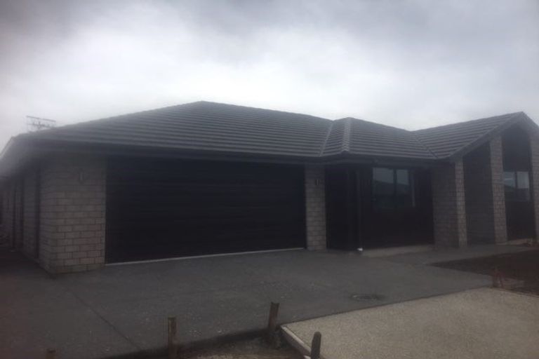 Photo of property in 24 Taffe Crescent, Pyes Pa, Tauranga, 3112