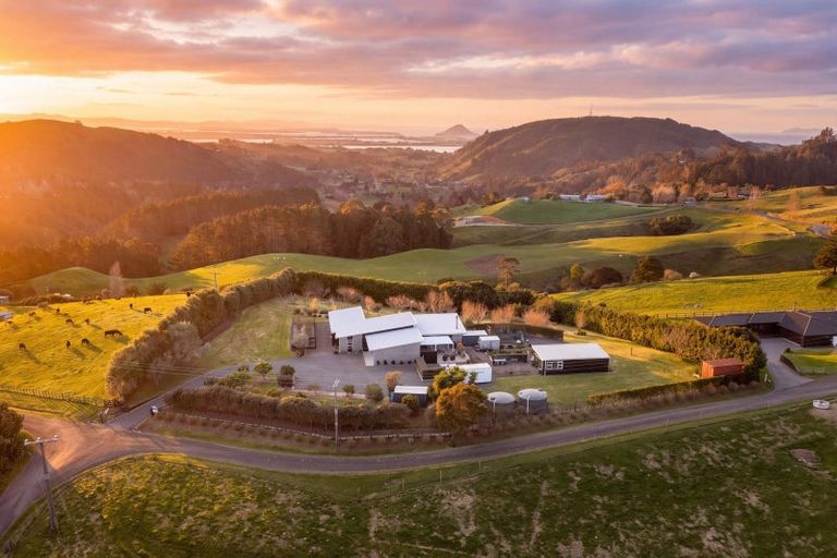 Photo of property in 157e Kaiate Falls Road, Waitao, Tauranga, 3175