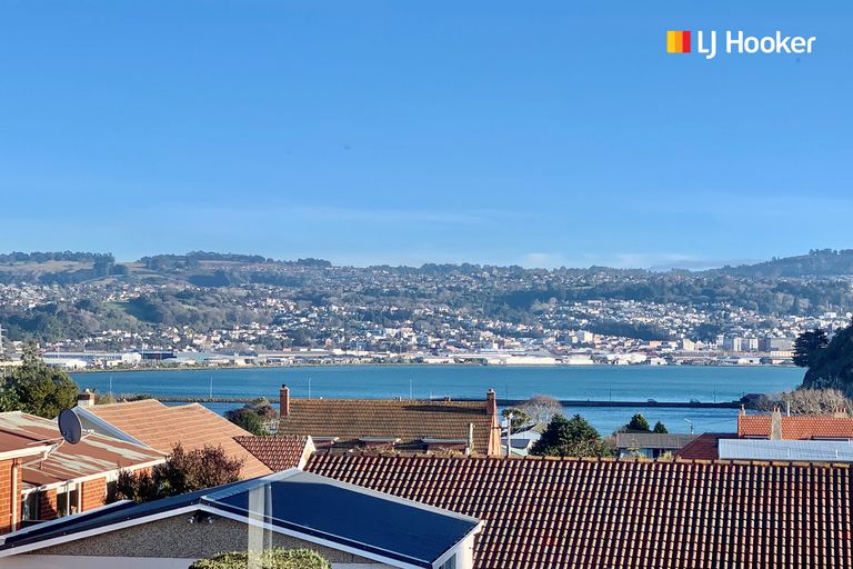 Photo of property in 48 Elliot Street, Andersons Bay, Dunedin, 9013