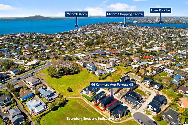 Photo of property in 46b Kenmure Avenue, Forrest Hill, Auckland, 0620