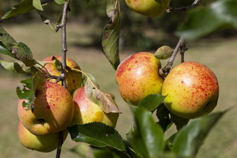 Photo of property in 39 Gangway Road, Totara North, Kaeo, 0479