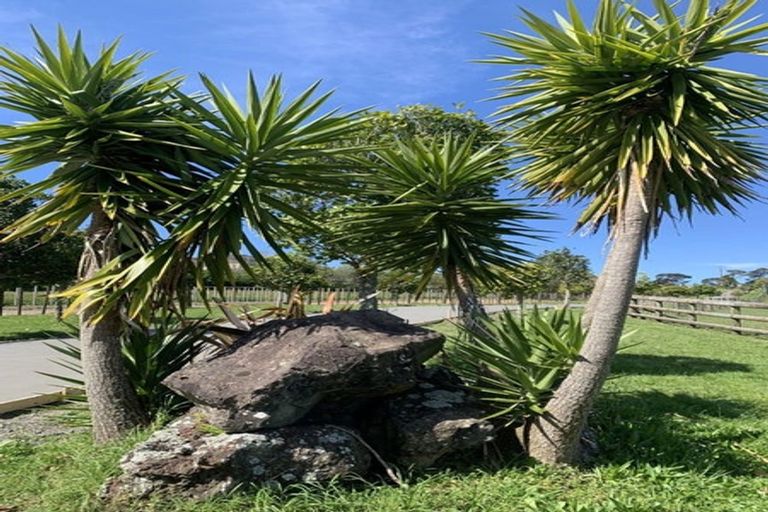 Photo of property in 53 Nixon Road, Taupaki, Henderson, 0782