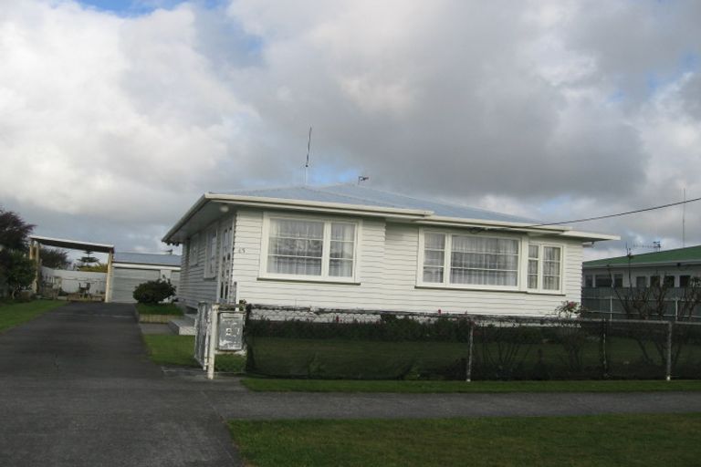 Photo of property in 45 Monmouth Street, Feilding, 4702