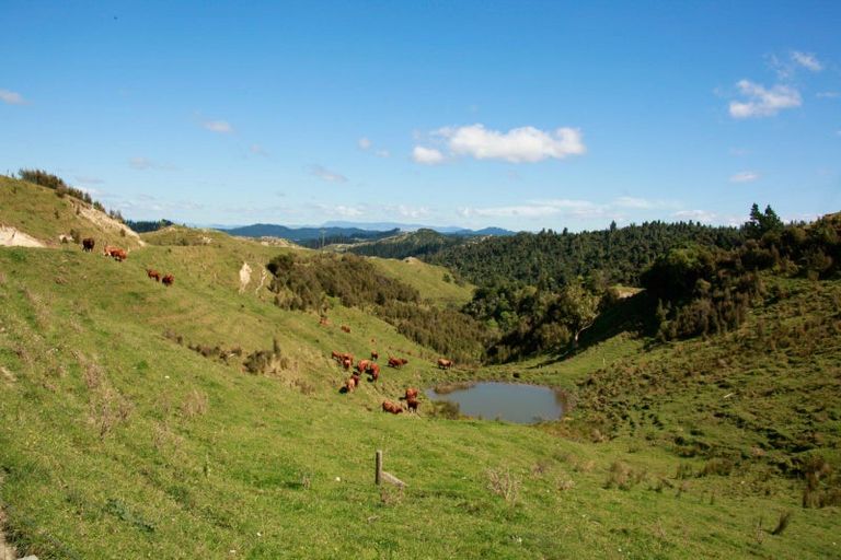 Photo of property in 409 Hokoroa Road, Tauwhareparae, Tolaga Bay, 4077