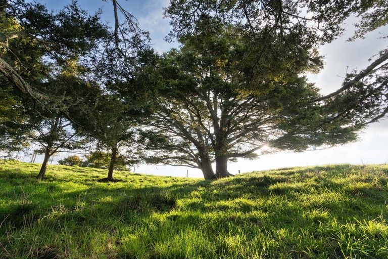 Photo of property in 681 Otaika Valley Road, Maungatapere, Whangarei, 0170