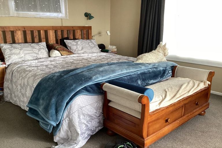 Photo of property in 23 Briarley Street, Tauranga South, Tauranga, 3112