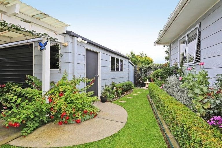 Photo of property in 302 Leo Street, Akina, Hastings, 4122