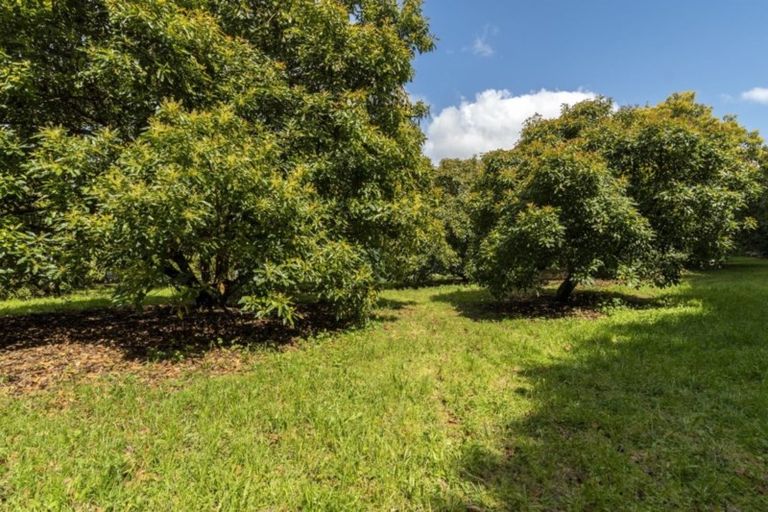 Photo of property in 56g Plummers Point Road, Whakamarama, Tauranga, 3172