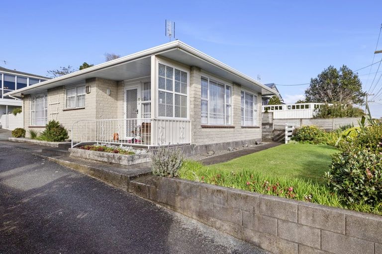 Photo of property in 38a Rimu Street, Strandon, New Plymouth, 4312
