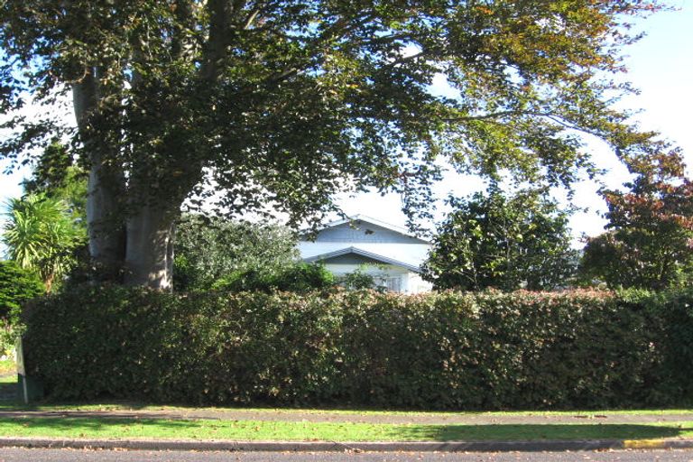 Photo of property in 36 Glenshea Street, Putaruru, 3411