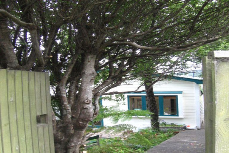 Photo of property in 117 Northland Road, Northland, Wellington, 6012