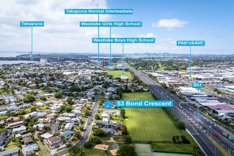 Photo of property in 53 Bond Crescent, Forrest Hill, Auckland, 0620