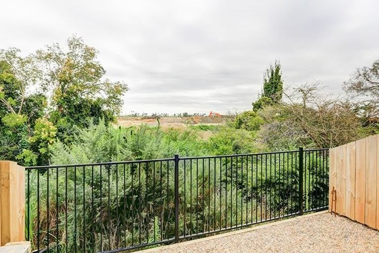 Photo of property in 19 Portland Lane, Chartwell, Hamilton, 3210