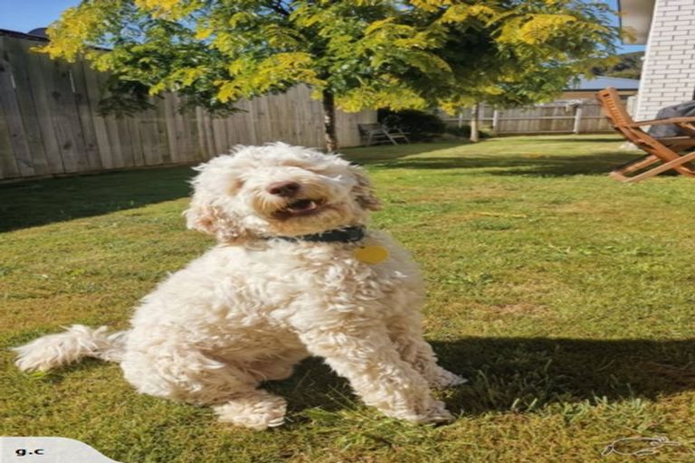 Photo of property in 5 Sun Valley Way, Wainuiomata, Lower Hutt, 5014