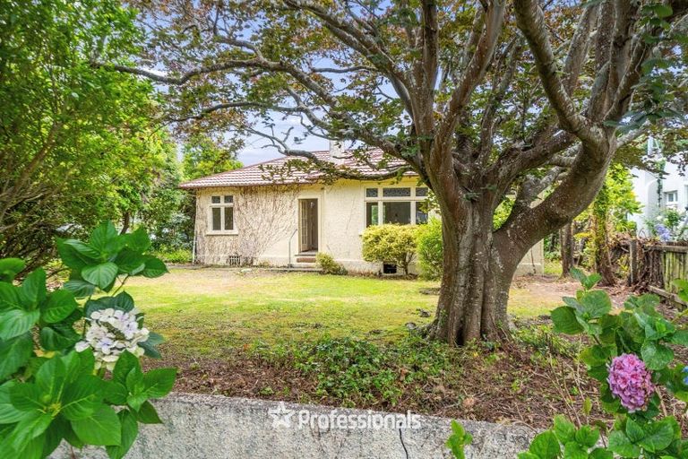 Photo of property in 37 Hardy Street, Waterloo, Lower Hutt, 5011