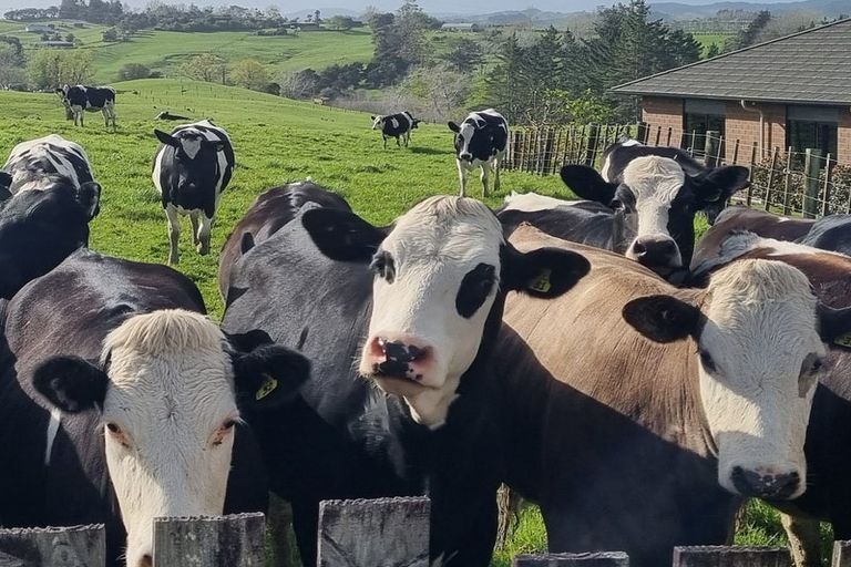 Photo of property in 2a Kelgary Place, Wellsford, 0900