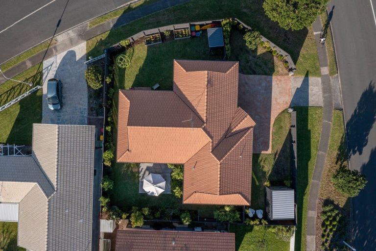 Photo of property in 175 Grenada Street, Mount Maunganui, 3116