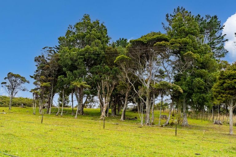 Photo of property in 4317 State Highway 12, Aranga, Dargaville, 0376