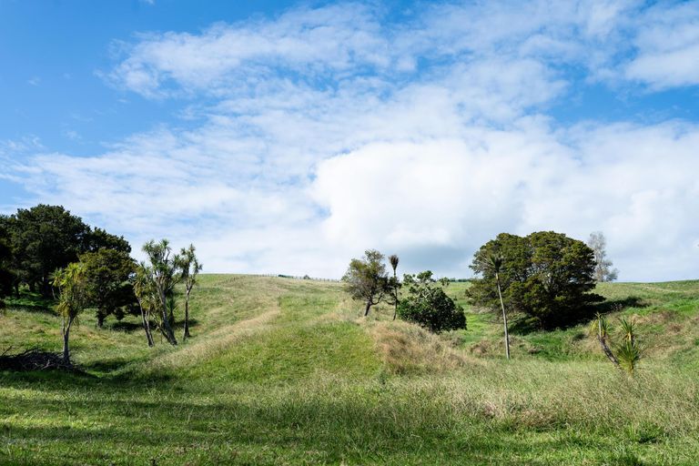 Photo of property in 1470 Oneriri Road, Kaiwaka, 0573