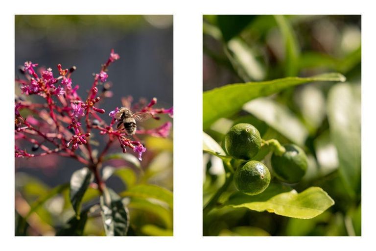 Photo of property in 88 Sentinel Avenue, Omokoroa, 3114