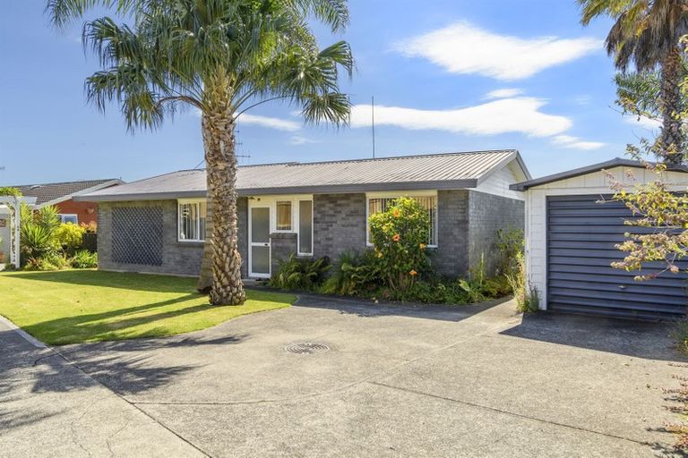 Photo of property in 8b Novella Place, Brookfield, Tauranga, 3110