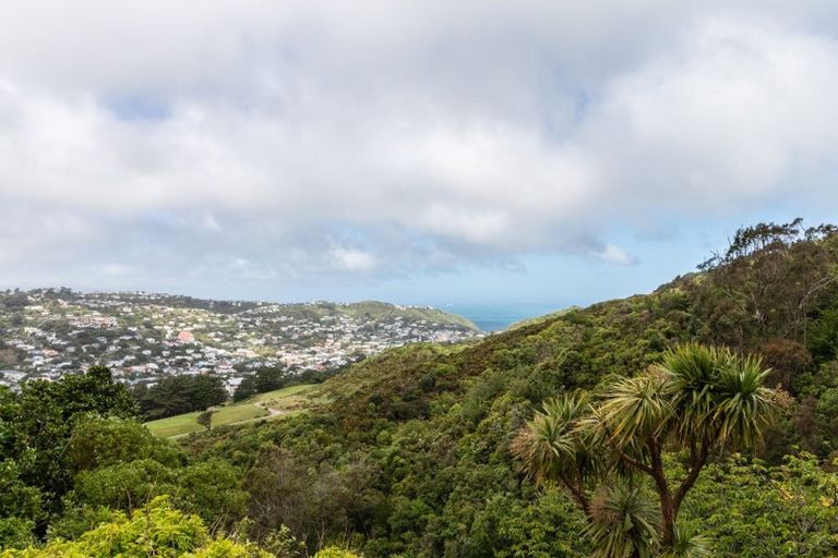 Photo of property in 20 Halifax Street, Kingston, Wellington, 6021