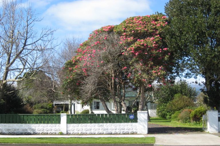 Photo of property in 46 Queenwood Road, Levin, 5510