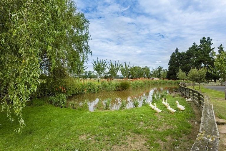 Photo of property in 87 Tirohanga Road, North Taieri, Mosgiel, 9092