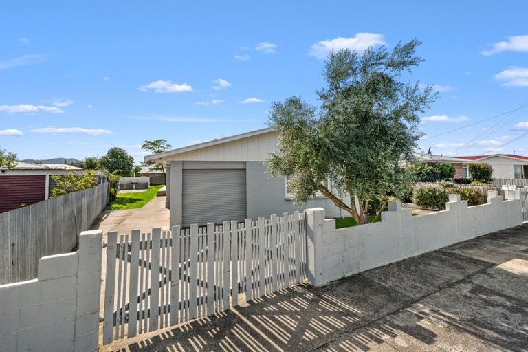 Photo of property in 20 Moran Street, Redwoodtown, Blenheim, 7201