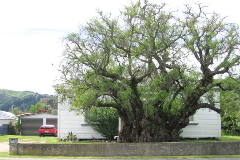 Photo of property in 169 Stout Street, Mangapapa, Gisborne, 4010