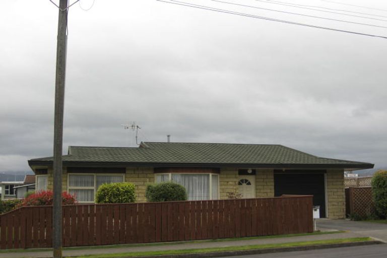 Photo of property in 34 Bristol Street, Levin, 5510