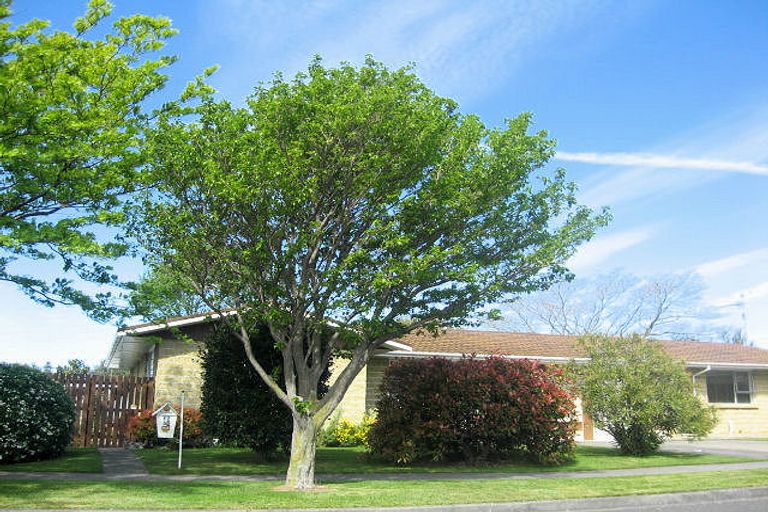 Photo of property in 1/56 Leefield Street, Blenheim, 7201