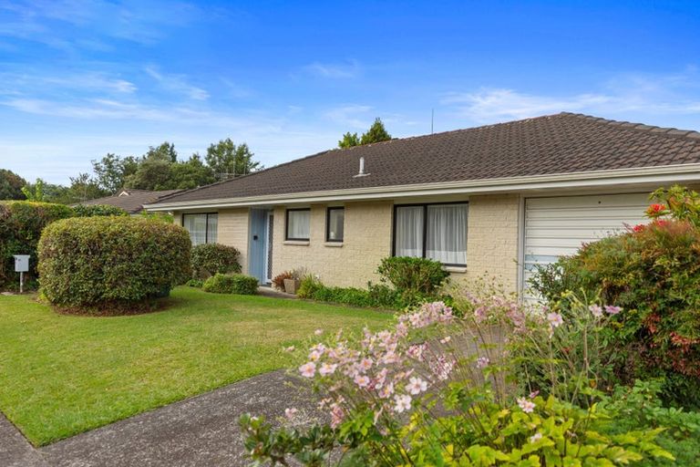 Photo of property in 10a Norrie Street, Te Puke, 3119