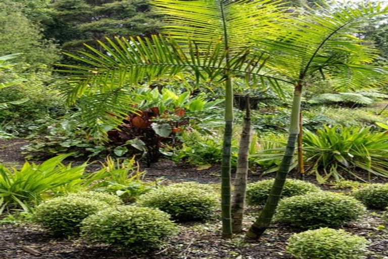 Photo of property in 118 Ngarara Road, Waikanae, 5036