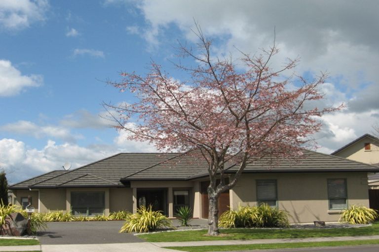 Photo of property in 92 Bethlehem Heights, Bethlehem, Tauranga, 3110