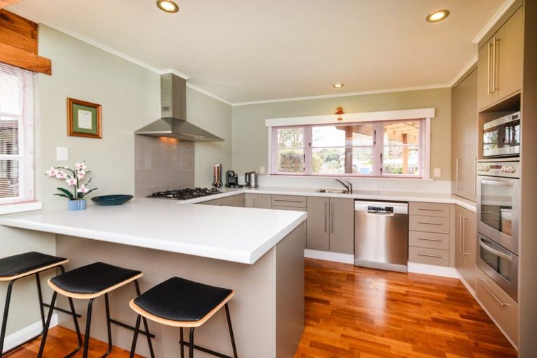 Photo of property in 480 Ruahine Street, Terrace End, Palmerston North, 4410
