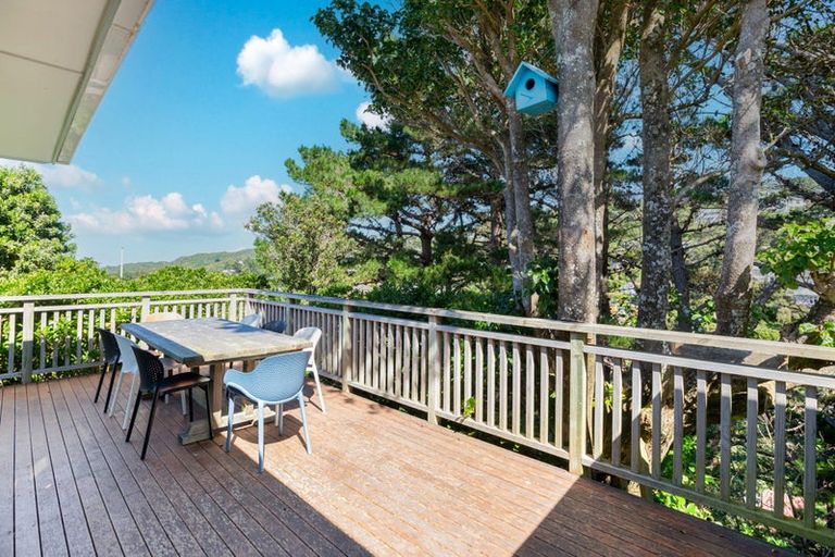 Photo of property in 33 Finnimore Terrace, Vogeltown, Wellington, 6021