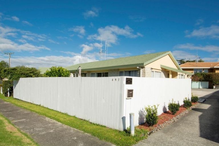Photo of property in 497 Fraser Street, Parkvale, Tauranga, 3112