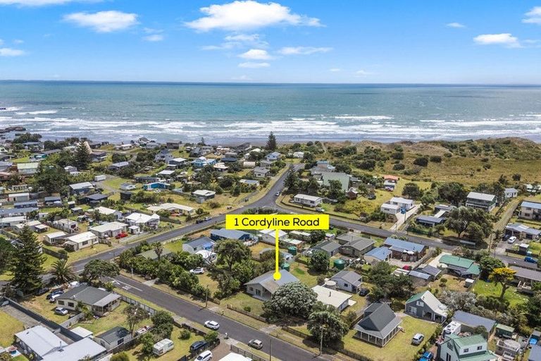 Photo of property in 1 Cordyline Road, Port Waikato, Tuakau, 2695