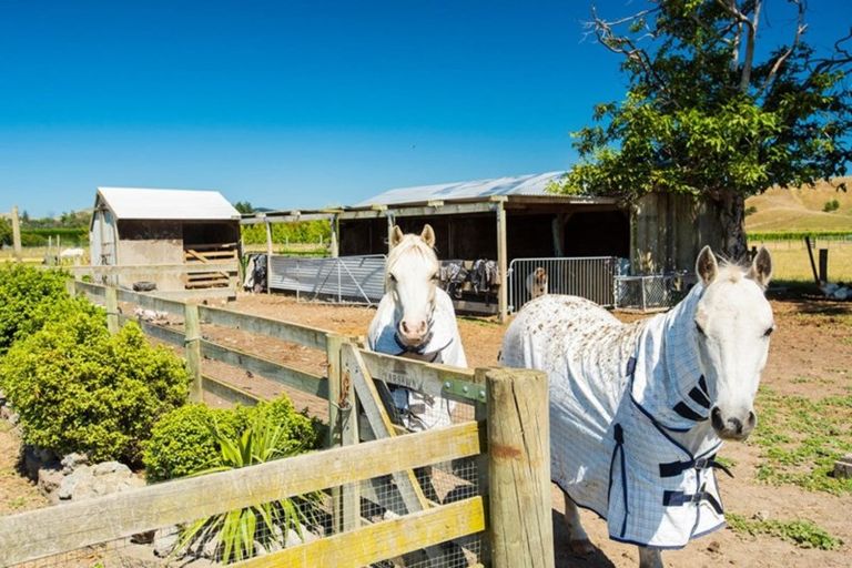 Photo of property in 55 Atkins Street, Patutahi, Gisborne, 4072