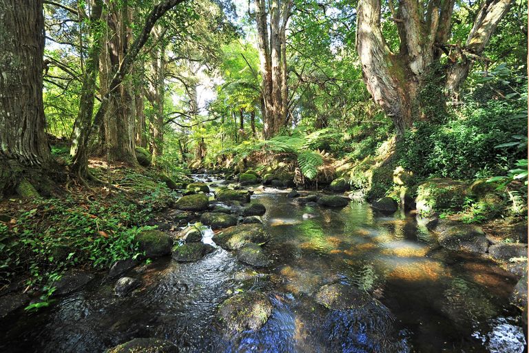 Photo of property in 3 Helland Drive, Bombay, Drury, 2579