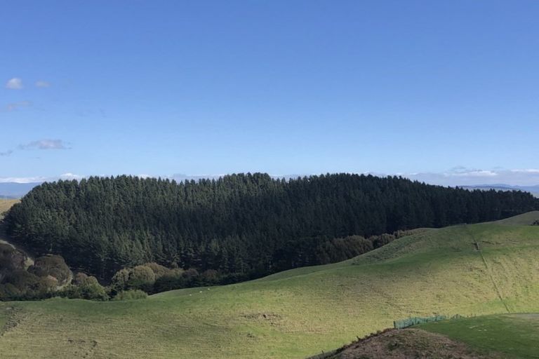 Photo of property in 15 Te Roera Drive, Taradale, Napier, 4112